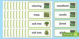 tree word game