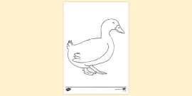 FREE! - Cat Colouring Sheet | Colouring Sheets - Twinkl