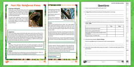 Features of Non-Chronological Report KS2 Poster