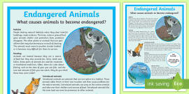 endangered animals research paper