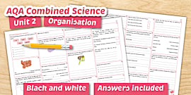 AQA Combined Science Energy Foundation Revision Mat | Beyond