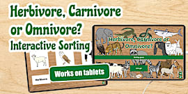 Carnivore or Herbivore? Interactive Sorting Game
