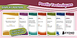 Language Techniques - Coloured Display Posters