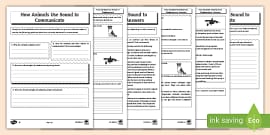 Sound and Animals Graphing Activity (Teacher-Made) - Twinkl Sound and Animals Graphing Activity (Teacher-Made) - Twinkl