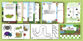 Minibeasts KS1 - Activity pack - Resources (teacher made)