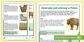 Ssaki | Zwierzęta w Polsce | Karta faktów (teacher made)