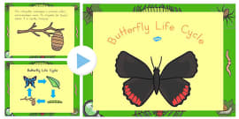 Life Cycle of a Butterfly Jigsaw - life cycles, cutouts, games