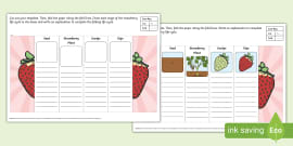 Stick Insect Folding Life Cycle Template - Twinkl