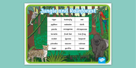 FREE! - Jungle Equipment Word Mat (Teacher-Made) - Twinkl