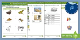 Esl Curriculum Level 6 Lesson 2 Teacher Made Twinkl
