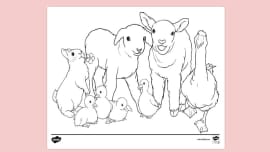 Free Spring Animals Colouring Page Creative Activity For Kids