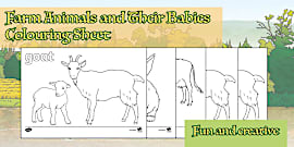 Spring Animals and Their Babies Sorting Worksheet
