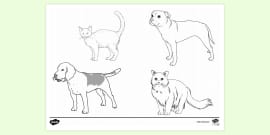 Cute Dog and Cat Template | Colouring Sheet | Twinkl