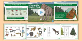 Animal Classification Keys KS2 - Primary Resources - Twinkl