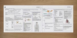 Year 7 - Year 10 Science Controlling Body Temperature Cards