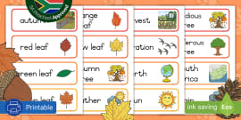 👉 Autumn Words Vocabulary Cards | Seasons Primary Resources