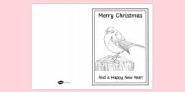 FREE! - Robin Bird Colouring Page | Colouring Sheets