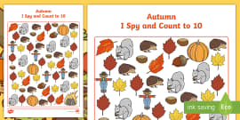 Pets I Spy and Count Activity to 10 (teacher made)