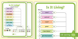 Characteristics of Living Things Display Poster - Twinkl