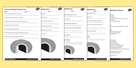 Stone Age Reading Comprehension Activity - worksheet, stone age, history