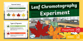 Leaf Chromatography Experiment For 3rd-5th Grade - Twinkl