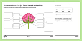 Plant reproduction lab picture