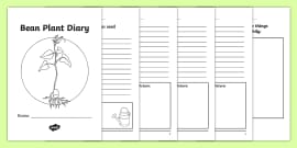 Free My Diary Of A Bean Plant Booklet Template Bean