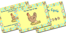 FREE! - Chicken Life Cycle Bunting - australia, chicken, life cycle