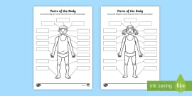 Body parts cut and paste worksheet- easy to print. - Twinkl