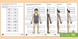 Body Parts Labelling Activity Gaeilge (teacher made)