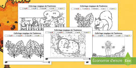 Coloriage Magique D automne Ressources P dagogiques