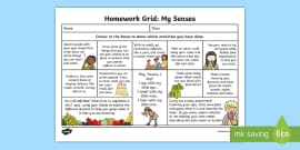 rainforest homework grid