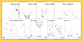 FREE! - Animal Footprint Matching Game | Teacher-Made Resources