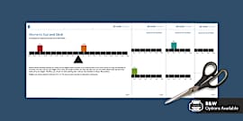 Principle Of Moments Worksheet