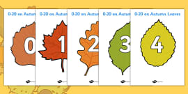 Free Autumn Display Banner Teacher Made