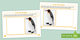 Free How To Draw A Penguin Activity - Animals - Twinkl - Usa