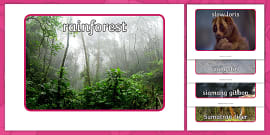 Rainforest Map Labelling Twinkl Rainforest Map Labelling Twinkl