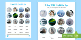 Polar Regions Themed KS1 Word Mat (teacher made)