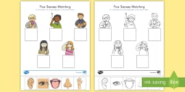 Five Senses Wheel Worksheet | Teaching Resource - Twinkl