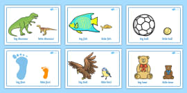 Big and Small Sorting Activity | Animals | Early Years