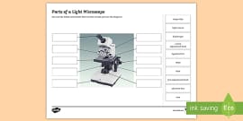 Parts Of A Light Microscope Cut And Stick Worksheet - Twinkl