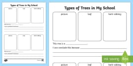 Deciduous and Evergreen Trees Task Setter Powerpoint and Activity Pack