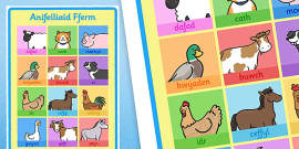 Farm Animals Display Poster Romanian Translation - Twinkl