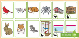 Pet Pairs Rhyming Cards (teacher made) - Twinkl