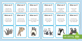 What Am I Animal Guessing Game Cards | Guessing Game