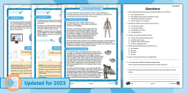 KS1 British Science Week: Connections Comprehension Activity