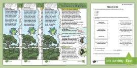 Deforestation Reading Comprehension KS2 - Activities