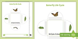 Butterfly Life Cycle Build A Word Activity (teacher Made)