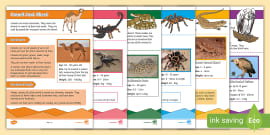 Animal Adaptations for Kids  Twinkl Teaching Wiki - Twinkl