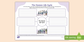 The Life Cycle of a Human Poster - Printable | KS2 Science